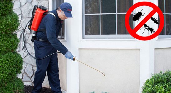 Kale Kemirgen İlaçlama böcek ilaçlama ve haşere kontrolü — ilaclama-tr.com